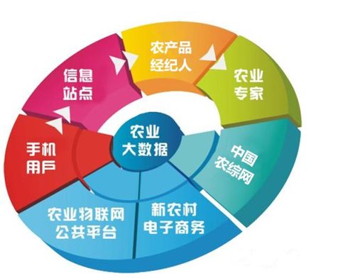 打造農業圈很重要 網絡技術如何幫農人賺錢